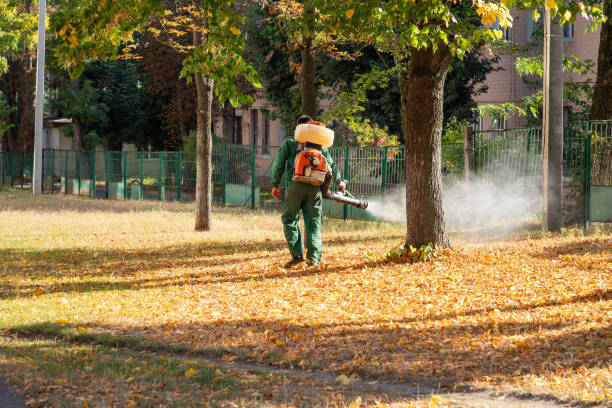 Wasp Removal Services in North Fort Lewis, WA