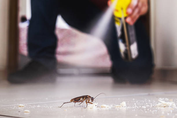 North Fort Lewis, WA Pest Control Company