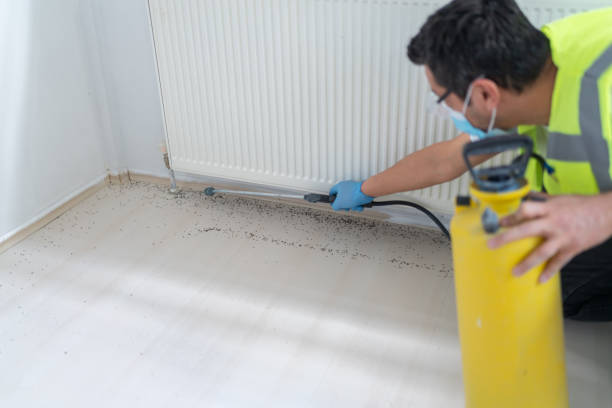 Best Commercial Pest Control Services  in North Fort Lewis, WA